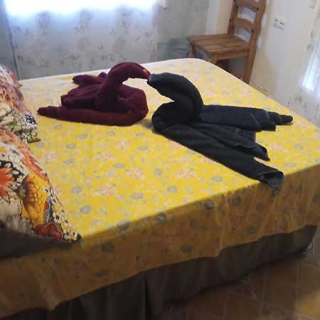 Apartamento Maite Guardamar del Segura Kamer foto